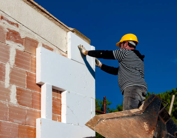 Best Professional Insulation Contractor  in Belle Plaine, KS